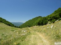 2026-06-20 Sopralluogo Trail Duchessa 098